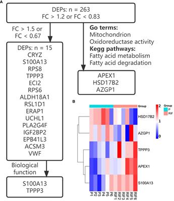 Endometrial proteomic profile of patients with repeated implantation failure